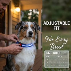 MEGAPAWS 8-Color Flashing Rechargeable Waterproof Adjustable LED Dog Collar, Black, Small: 12 to 16-in neck, 0.79-in wide slide 2 of 9