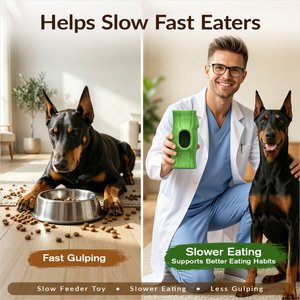 KADTC Frost Lick 2 In 1 Dog Fillable Chew Enrichment Puzzle Toy, Green, X-Large