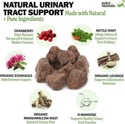 Deley Naturals Advanced Urinary Tract Chicken Flavor Dog Supplement, 12.7-oz canister, 120 count slide 2 of 7