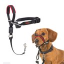 Halti OptiFit Nylon Padded No Pull Dog Headcollar, Small: 9.5 to 15.5-in neck