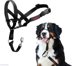 Halti Nylon Padded No Pull Dog Headcollar, Size 4: 18 to 24.5-in neck