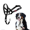 Halti Nylon Padded No Pull Dog Headcollar, Size 4: 18 to 24.5-in neck