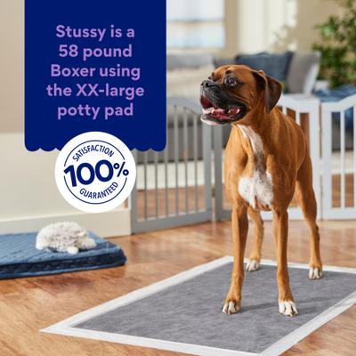 Show full view: Chewy Made XX-Large Charcoal Dog Training & Potty Pads (FORMERLY FRISCO), 27.5 x 44-in, Unscented, 50 count slide 6 of 10