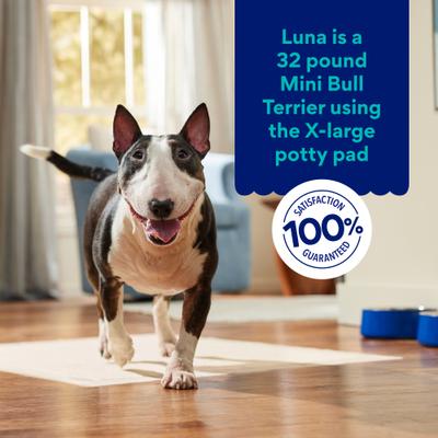 Show full view: Chewy Made X-Large Eco-Conscious Dog Training & Potty Pads (FORMERLY FRISCO), 28 x 34-in, Unscented, 75 count slide 6 of 10