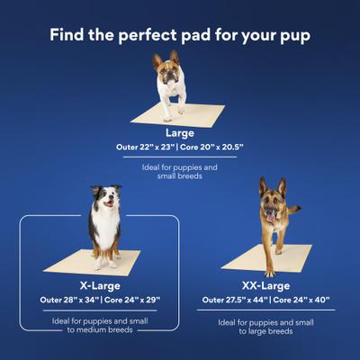 Show full view: Chewy Made X-Large Eco-Conscious Dog Training & Potty Pads (FORMERLY FRISCO), 28 x 34-in, Unscented, 75 count slide 7 of 10