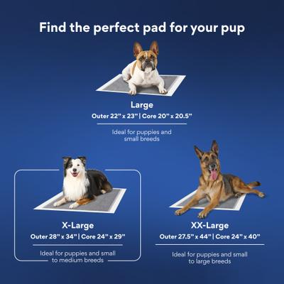 Show full view: Chewy Made X-Large Charcoal Dog Training & Potty Pads (FORMERLY FRISCO), 28 x 34-in, Unscented, 40 count slide 7 of 10