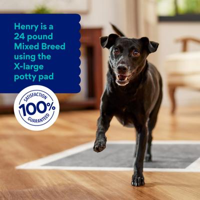 Show full view: Chewy Made X-Large Charcoal Dog Training & Potty Pads (FORMERLY FRISCO), 28 x 34-in, Unscented, 40 count slide 6 of 10