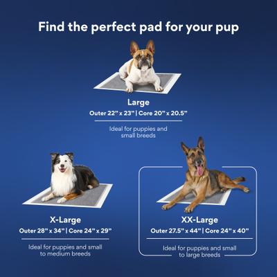 Show full view: Chewy Made XX-Large Charcoal Dog Training & Potty Pads (FORMERLY FRISCO), 27.5 x 44-in, Unscented, 50 count slide 7 of 10