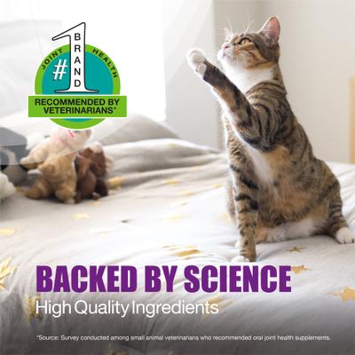 Show full view: Nutramax Dasuquin Hip & Joint Soft Chews Joint Supplement for Cats, 84 count slide 7 of 11