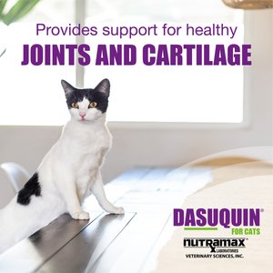 Nutramax Dasuquin Hip & Joint Soft Chews Joint Supplement for Cats, 84 count