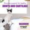 Show in main carousel: Nutramax Dasuquin Hip & Joint Soft Chews Joint Supplement for Cats, 84 count slide 4 of 11