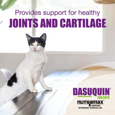 Show full view: Nutramax Dasuquin Hip & Joint Soft Chews Joint Supplement for Cats, 84 count slide 4 of 11