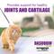 Show in main carousel: Nutramax Dasuquin Hip & Joint Capsules Joint Supplement for Cats, 84 count slide 4 of 11