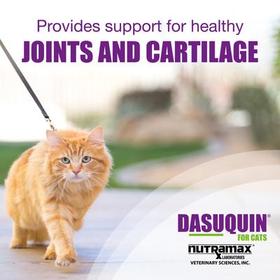 Show full view: Nutramax Dasuquin Hip & Joint Capsules Joint Supplement for Cats, 84 count slide 4 of 11