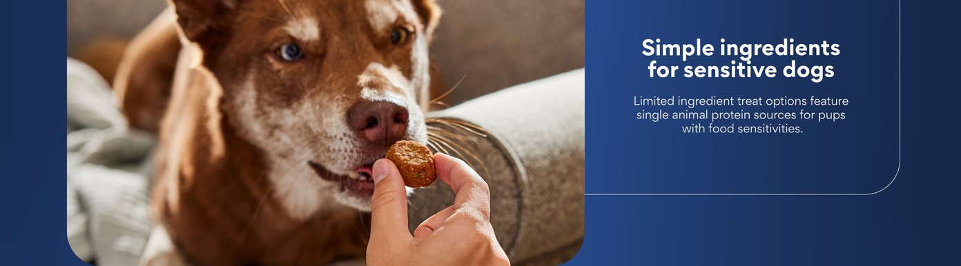 Simple ingredients for sensitive dogs. Limited ingredient treat options feature single animal protein sources for pups with food sensitivities.
