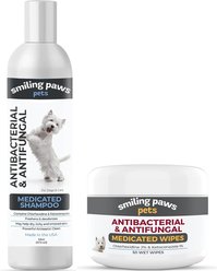 Alpha Paw Antibacterial & Antifungal Medicated Shampoo, 16-oz bottle + Antibacterial & Antifungal Medicated Dog & Cat Wipes, 50 count slide 1 of 9