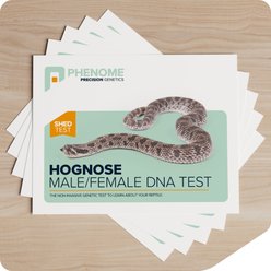 Phenome Hognose Male/Female Reptile DNA Test, 5 count