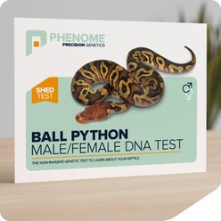 Phenome Ball Python Male/Female Reptile DNA Test, 1 count