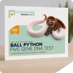 Phenome Ball Python 5 Gene Reptile DNA Test, 1 count