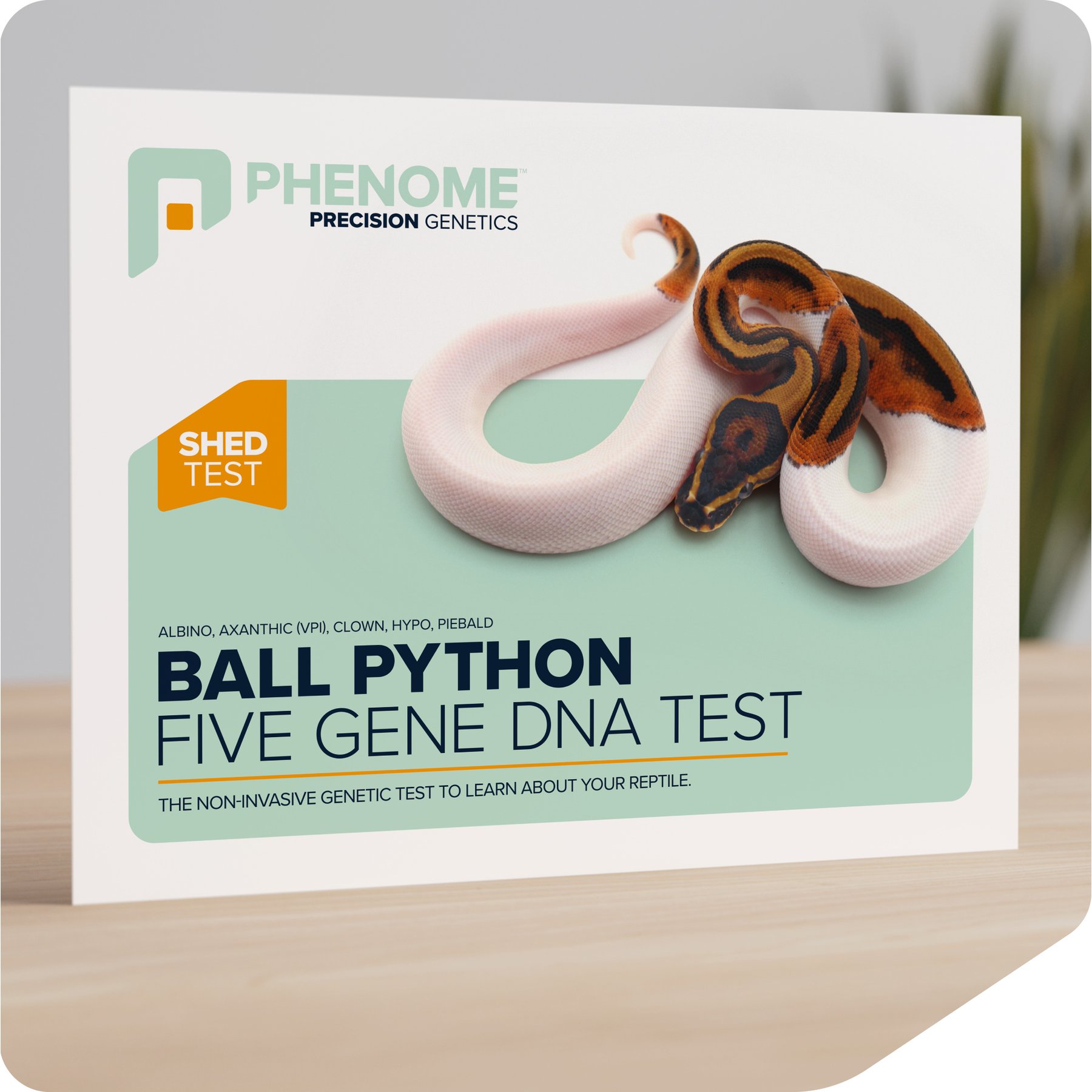 Phenome Ball Python 5 Gene Reptile DNA Test, 1 count