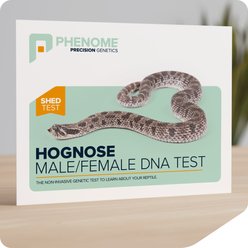 Phenome Hognose Male/Female Reptile DNA Test, 1 count
