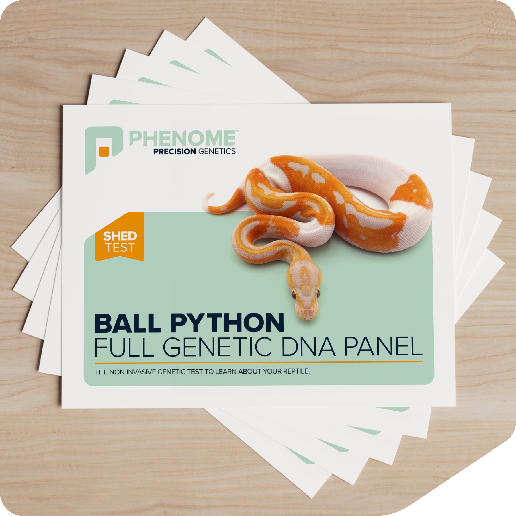 Phenome Ball Python Full Genetic Reptile DNA Panel Test, 5 count