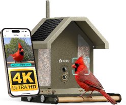 Birdfy Squirrel-Proof Solar Powered Metal 2 4K Smart Wild Bird Feeder with Camera, Moss Green, 1.8-L