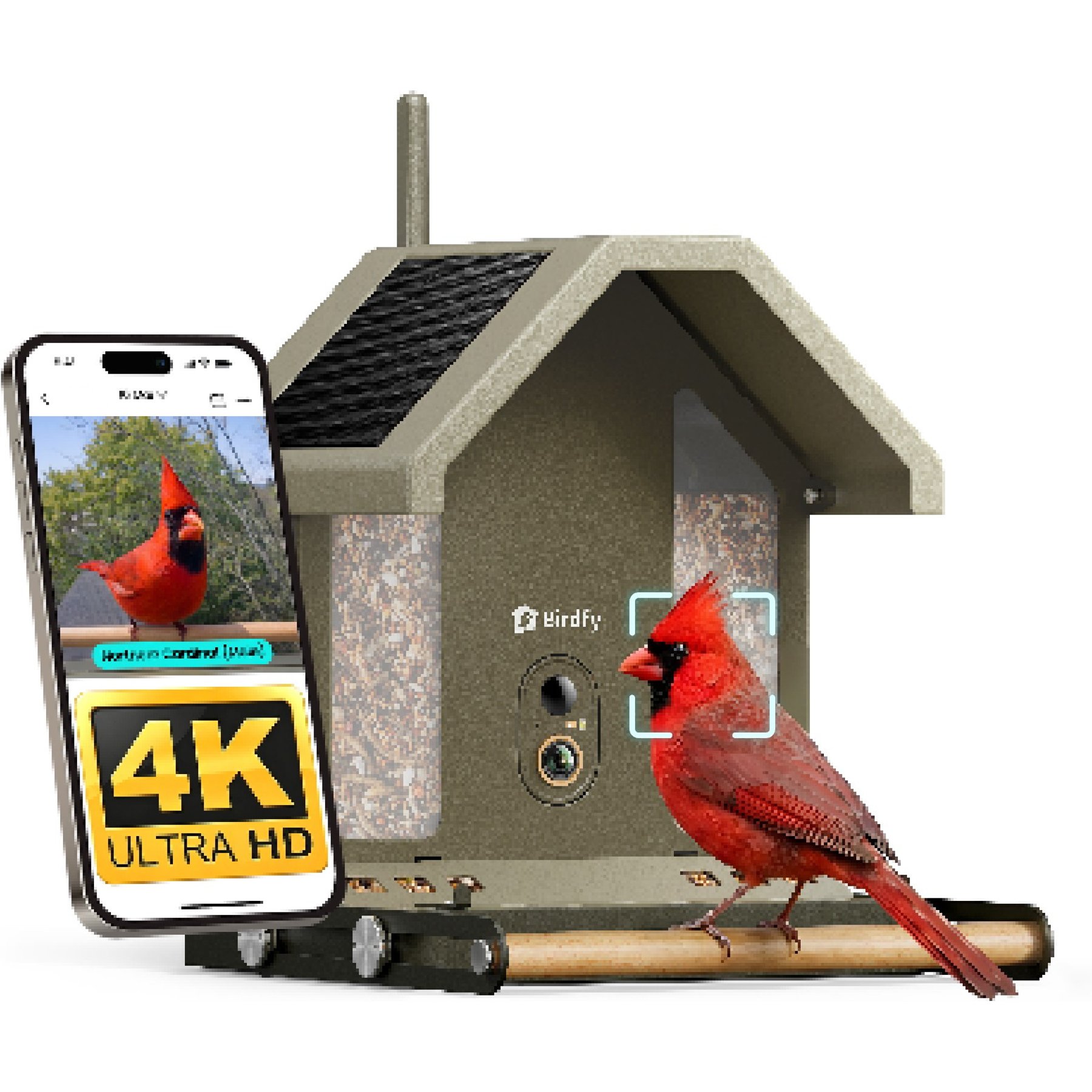 Birdfy Squirrel-Proof Solar Powered Metal 2 4K Smart Wild Bird Feeder with Camera, Moss Green, 1.8-L