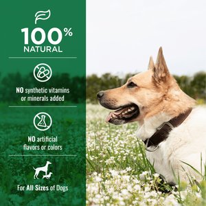 Nature's Logic 100% Natural 7- 8" Center Cut Hind Shank Bone, Dog Chew Treat, 1 count