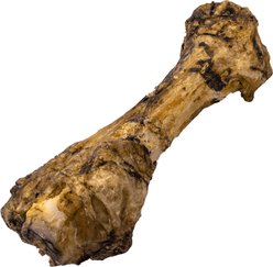 Nature's Logic 100% Natural Extra Meaty Shin Bone Dog Chew Treat, 1 count slide 2 of 8