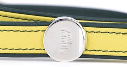 myfamily Firenze Dog Leash, Yellow, 6-ft long, 7/8-in wide slide 2 of 4