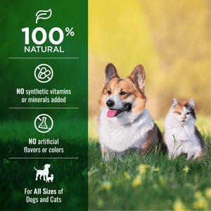 Nature's Logic 100% Natural Beef Lung Dehydrated Dog & Cat Treats, 1-lb bag