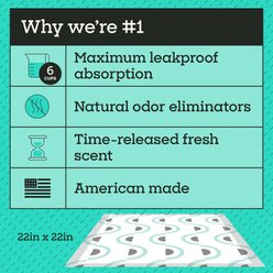 Pet Life Unlimited Smart Prints Dog Pee Pads, Sweet Bluegrass Scent, Large: 22 x 22-in, 40 count slide 2 of 9