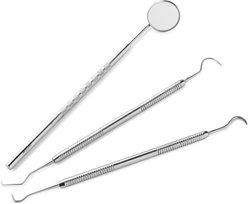 Majestic Bombay Dog Dental Hygiene Tool Set