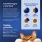 Show in main carousel: Chewy Made Medleys Florentine Variety Pack Canned Wet Cat Food, 3-oz can, bundle of 24 slide 5 of 10