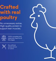 Chewy Made Grilled Poultry Feast in Gravy Canned Wet Cat Food, 3-oz can, case of 24 slide 2 of 9