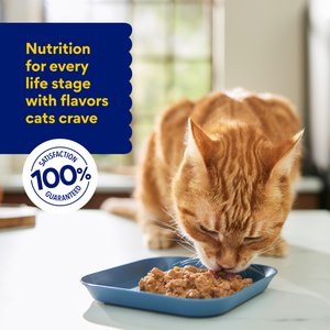 Chewy Made Medleys Chicken Primavera in Broth Wet Cat Food, 3-oz can, case of 24