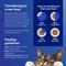 Show in main carousel: Chewy Made Grilled Chicken Feast in Gravy Canned Wet Cat Food, 3-oz can, case of 24 slide 5 of 10
