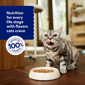 Chewy Made Grilled Chicken Feast in Gravy Canned Wet Cat Food, 3-oz can, case of 6