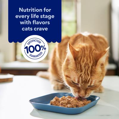 Show full view: Chewy Made Medleys Primavera Variety Pack Canned Wet Cat Food, 3-oz can, bundle of 24 slide 8 of 10
