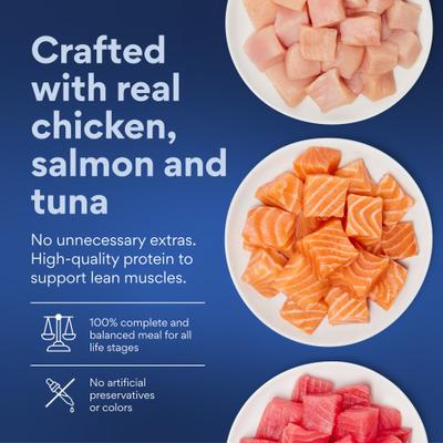 Show full view: Chewy Made Medleys Primavera Variety Pack Canned Wet Cat Food, 3-oz can, bundle of 24 slide 6 of 10