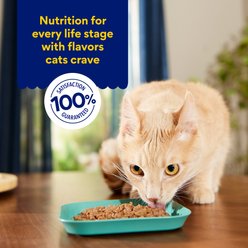Chewy Made Medleys Chicken Florentine in Broth Wet Cat Food, 3-oz can, case of 24 slide 2 of 9