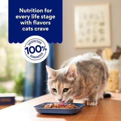 Show full view: Chewy Made Grilled Salmon Feast in Gravy Canned Wet Cat Food, 3-oz can, case of 24 slide 8 of 10