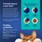 Show in main carousel: Chewy Made Medleys Salmon Primavera in Broth Wet Cat Food, 3-oz can, case of 24 slide 5 of 10