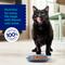 Show in main carousel: Chewy Made Medleys Salmon Primavera in Broth Wet Cat Food, 3-oz can, case of 24 slide 8 of 10