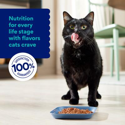 Show full view: Chewy Made Medleys Salmon Primavera in Broth Wet Cat Food, 3-oz can, case of 24 slide 8 of 10