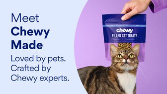 Meet Chewy Made. Loved by pets. Crafted by Chewy experts.