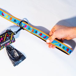 Oh My Millie Dancing Fruits Outdoor Use Dog Leash, Multicolor, 5-ft long, 1-in wide