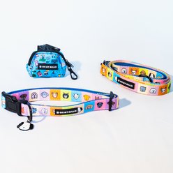 Oh My Millie Happy Walking Adjustable Dog Collar, Multicolor, Medium: 13 to 20-in neck, 3/4-in wide slide 2 of 3