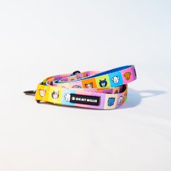 Oh My Millie Happy Walking Outdoor Use Dog Leash, Multicolor, 5-ft long, 1-in wide slide 1 of 3